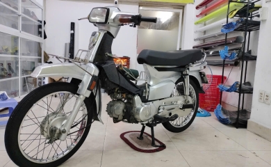 DREAM DÁN ĐỔI MÀU